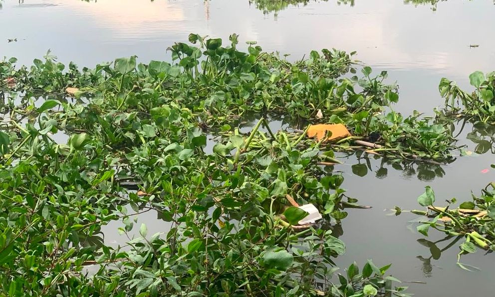 Tìm nhân thân người phụ nữ tử vong, trôi trên sông Sài Gòn