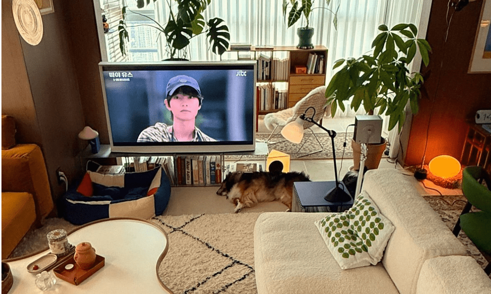 Vì sao hội 30s bỏ thiết kế TV treo tường trong phòng khách?