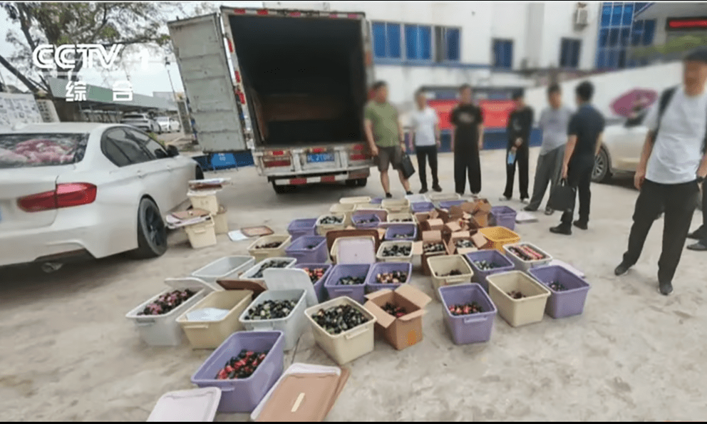 Trung Quốc: Giáo sư hóa học bị cáo buộc thiết kế phòng thí nghiệm điều chế ma túy tại 5 thành phố