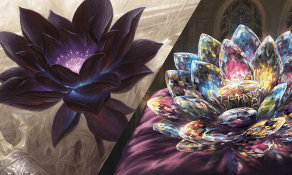 Ngỡ ngàng với bộ sưu tập thẻ bài được game thủ nhìn nhận 