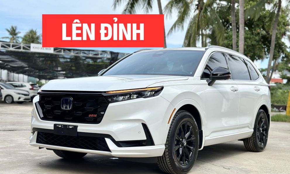 Xe hybrid bán chạy tháng 8 tại Việt Nam: CR-V bất ngờ lên đỉnh, Yaris Cross tăng mạnh nhưng nhiều mẫu xe Toyota lao dốc