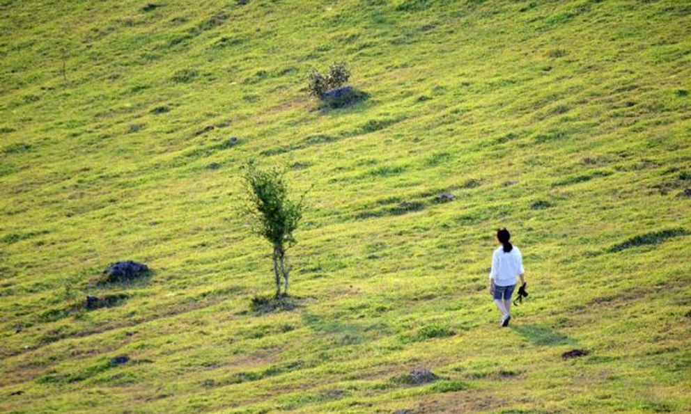 Nơi được ví như thảo nguyên nước ngoài ở Nghệ An, cách thành phố chỉ hơn 10km, vừa hoang dã vừa thơ mộng