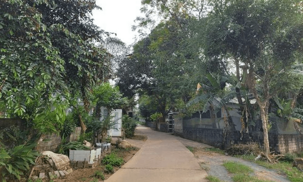 Nữ sinh lớp 8 ở Thanh Hóa bị hàng xóm xâm hại đến mang thai đôi: Bố mẹ đi làm ăn xa, ở nhà với ông bà