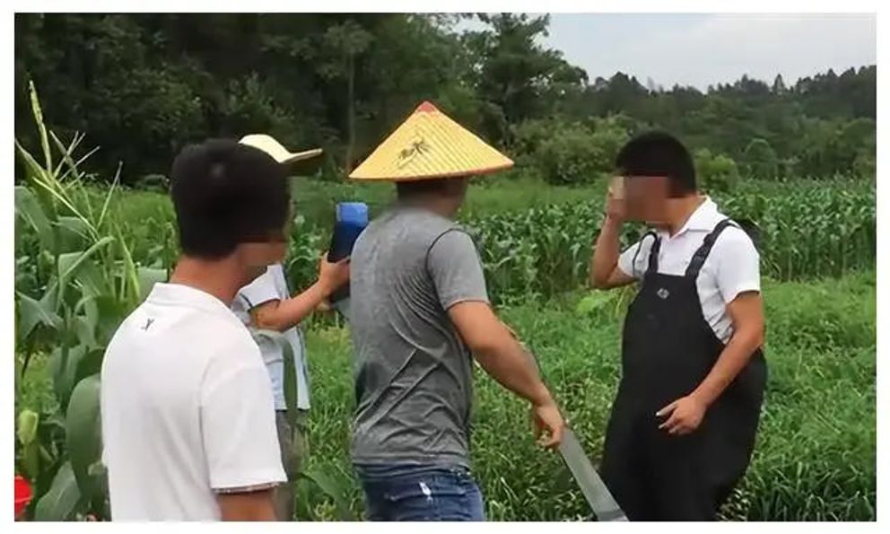 Cá trong ao “không cánh mà bay”, người đàn ông kiện hàng xóm lấy trộm nước: Tòa án phải đứng ra xử lý