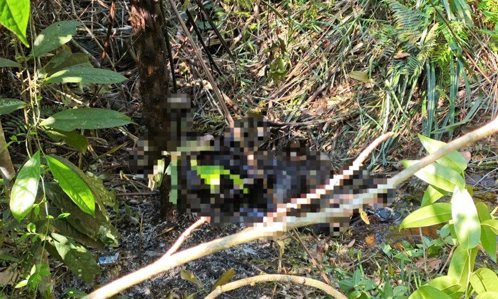 Vụ thi thể nghi là bác sĩ bị cháy đen: Phát hiện tin nhắn bất thường vài ngày trước