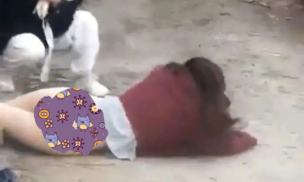 Nữ sinh rơi từ bờ tường trong trạng thái 'nhạy cảm', dân mạng không thương xót còn phản ứng gây bất ngờ