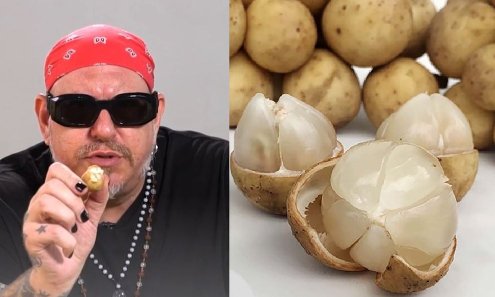 Khách Tây thốt lên “ôi trời ơi” sau khi thử quả bòn bon Việt Nam, thích mê vì 2 đặc điểm này