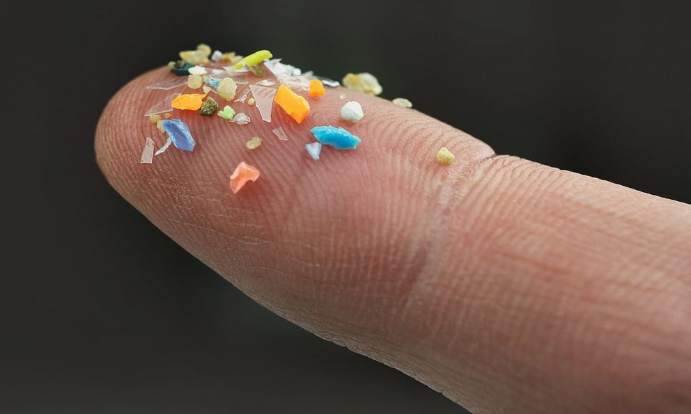 Phát hiện mới: 1 thứ thải ra hơn 250.000 hạt vi nhựa nhưng hàng triệu người đang ăn mỗi ngày