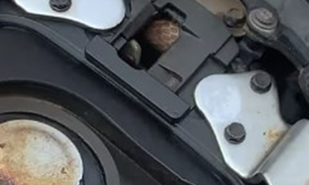 Đoạn video vỏn vẹn 16 giây mở cốp xe của người đàn ông khiến dân tình nổi hết da gà