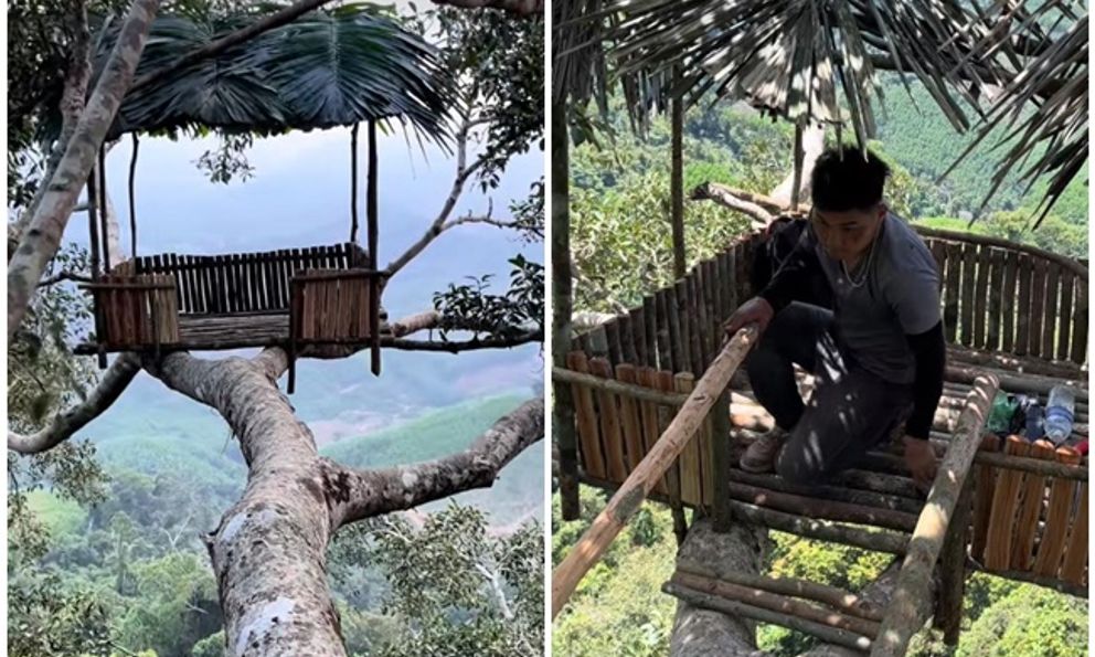Chàng trai Đắk Lắk làm nhà trên cây cổ thụ cao 50 mét, hàng nghìn người theo dõi quá trình