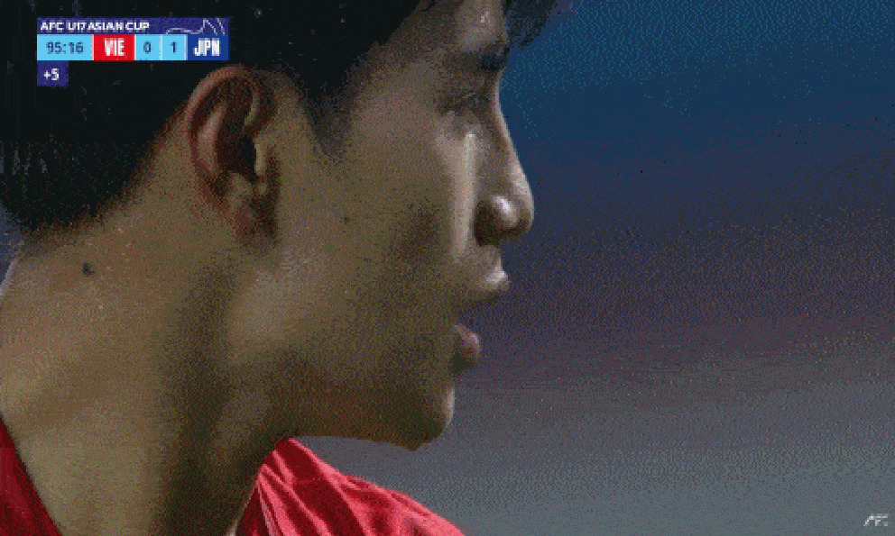 Nhà báo Trung Quốc: “Nhìn tuyển Việt Nam và Indonesia, CĐV Trung Quốc sẽ phải ghen tị”