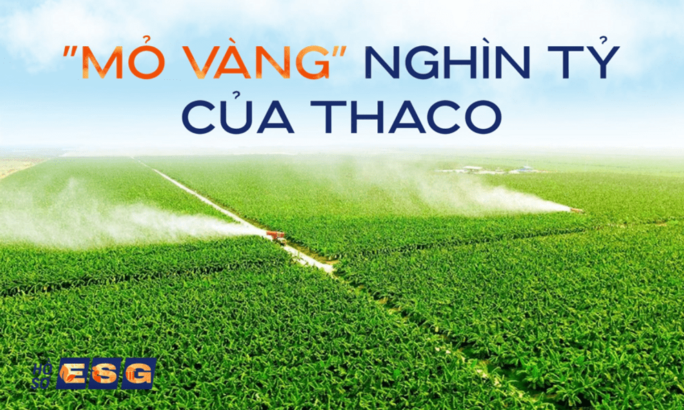 THACO vừa thâu tóm doanh thu khủng: 2.200 tỷ từ 