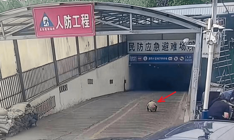 Ông nội đón cháu trai tan học nhưng lại không về thẳng nhà, camera ghi lại khoảnh khắc kinh hoàng