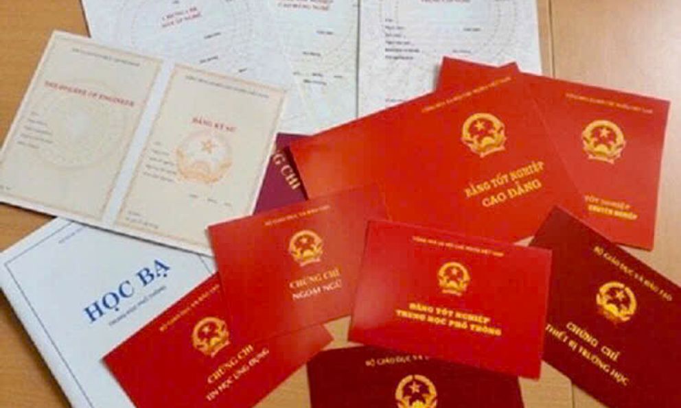 Khởi tố 2 cô giáo mua bằng giả, chứng chỉ giả 