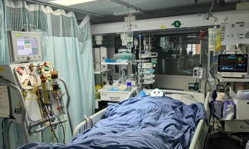 Người đàn ông suy gan, suýt chết sau bữa ăn: Bác sĩ thốt lên “do ăn 1 thứ chứa độc tố cực mạnh”