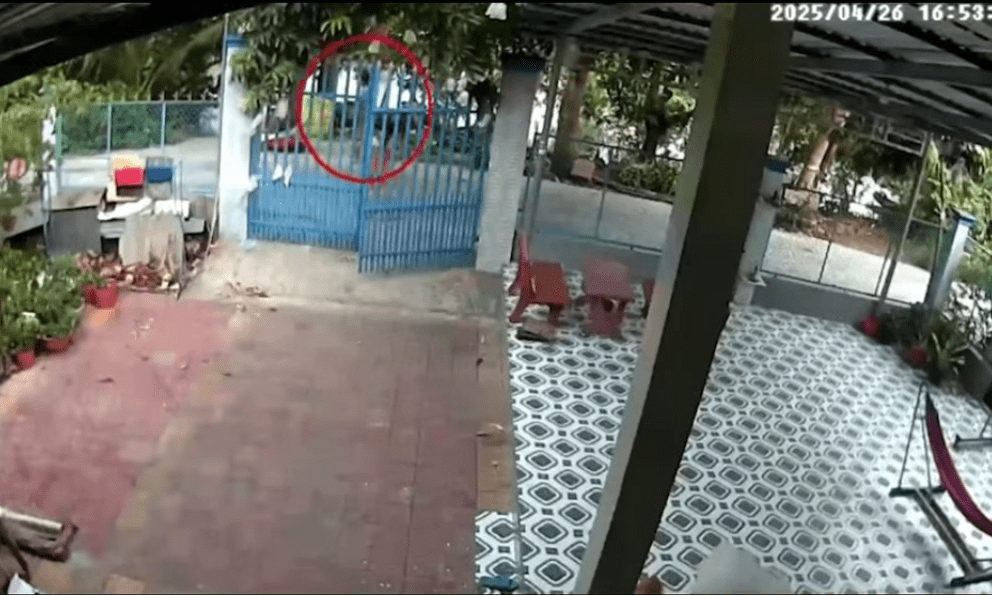 Camera an ninh ghi lại cảnh người phụ nữ tử vong do bị sét đánh ở Đồng Tháp 