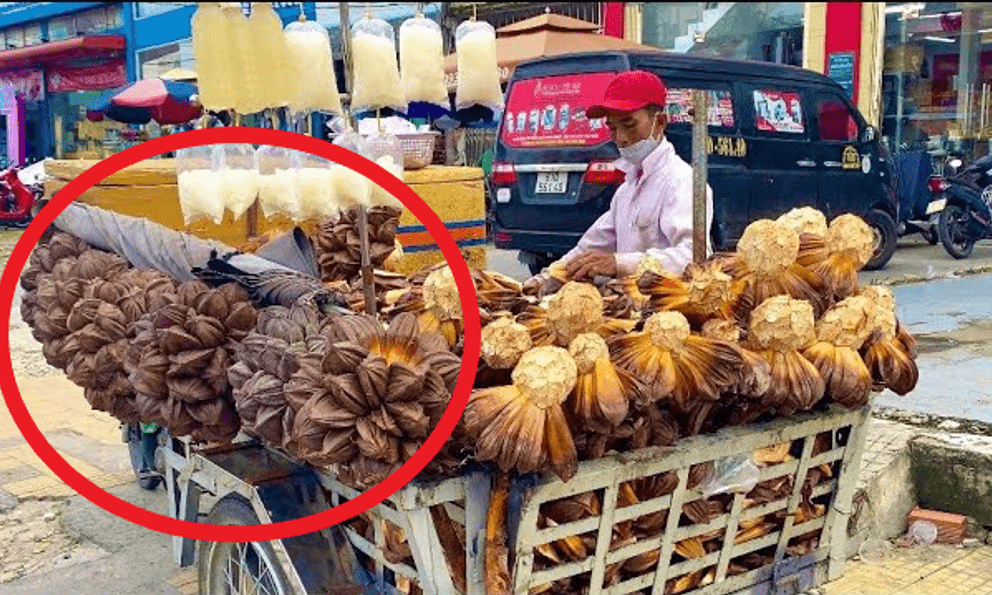 Video 3 triệu lượt xem về 10 loại quả ngon nhất ở TP HCM: Quả đầu tiên có người Việt còn không biết