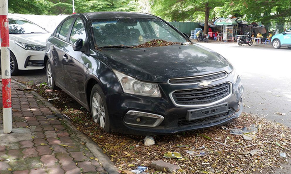 Ô tô đỗ cả năm ngoài đường không ai nhận, mọc cả cây trên kính xe ở TP.HCM: Nguồn cơn được hé lộ