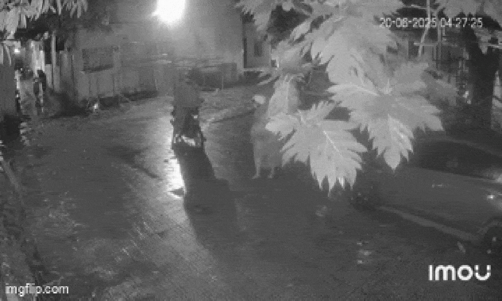 Nhóm đối tượng trộm 6 xe máy của sinh viên trong 1 tiếng ở Bình Dương: Có xe vẫn đang phải trả góp