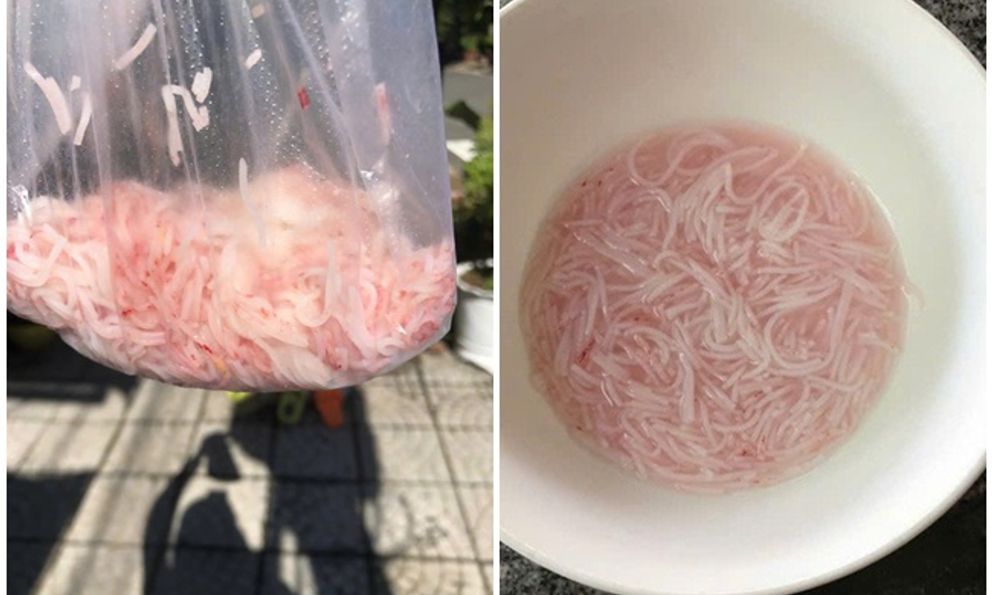 Vụ bún đổi sang màu đỏ sau vài tiếng: Thông tin bất ngờ về cơ sở sản xuất