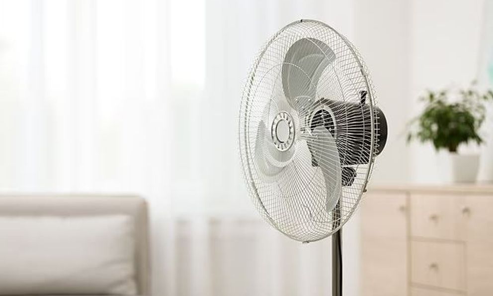 Bấy lâu nay, bạn đã dùng quạt sai cách mà không biết: Đây mới là cách đúng, vừa mát lại tiết kiệm điện