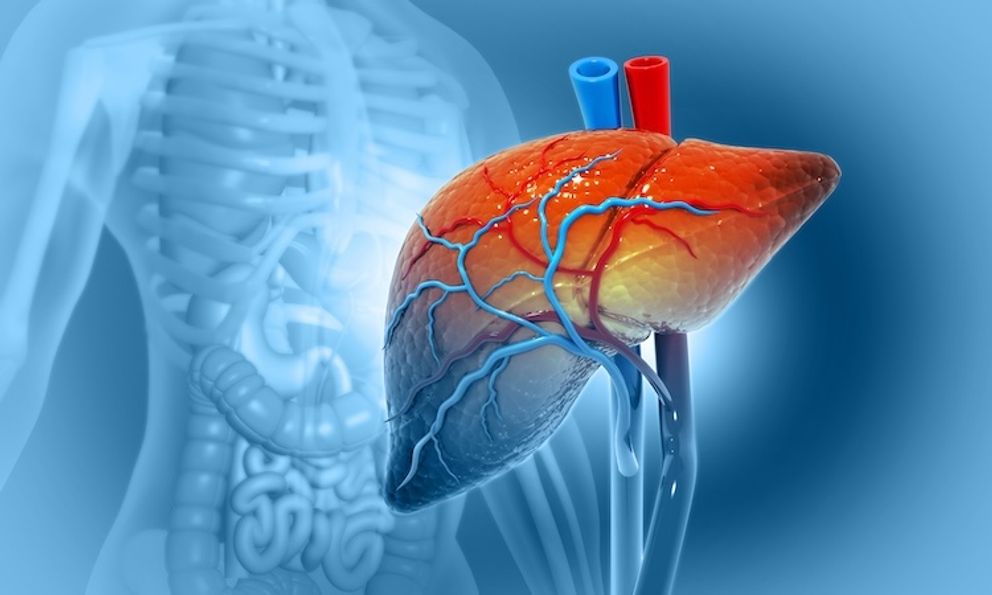 Sáng thức dậy thấy cơ thể có 2 đặc điểm này, cẩn thận gan đang trên “bờ vực” suy hỏng: Nên đi khám sớm!