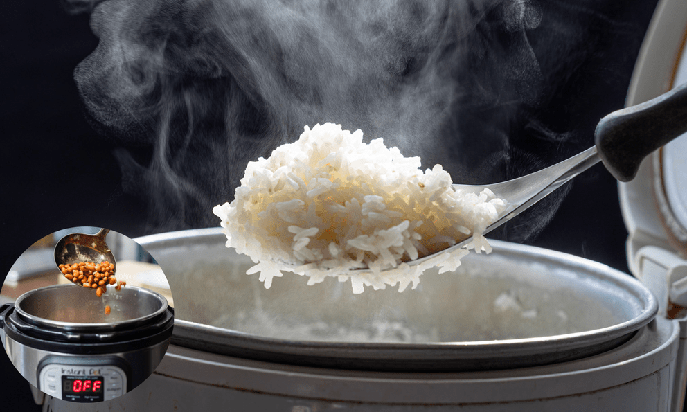 Cơm nấu kiểu này giàu protein ngang ăn 100g thịt bò, chuyên gia Mỹ hết lời khen: Rất dễ thực hiện