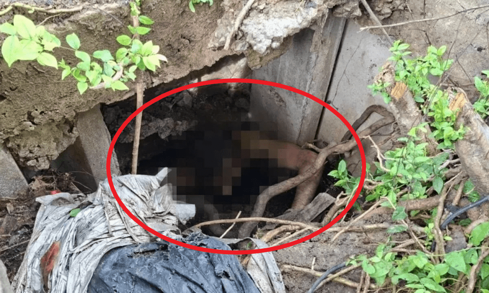 Người đàn ông khỏa thân nhảy xuống rồi mắc kẹt dưới cống, nhân viên cứu hộ đến giúp còn bị cắn vào tay