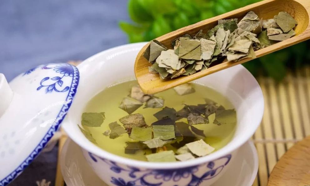 Việt Nam có loại lá dân dã, dùng pha nước uống giúp “quét sạch” mỡ máu, cực tốt cho gan