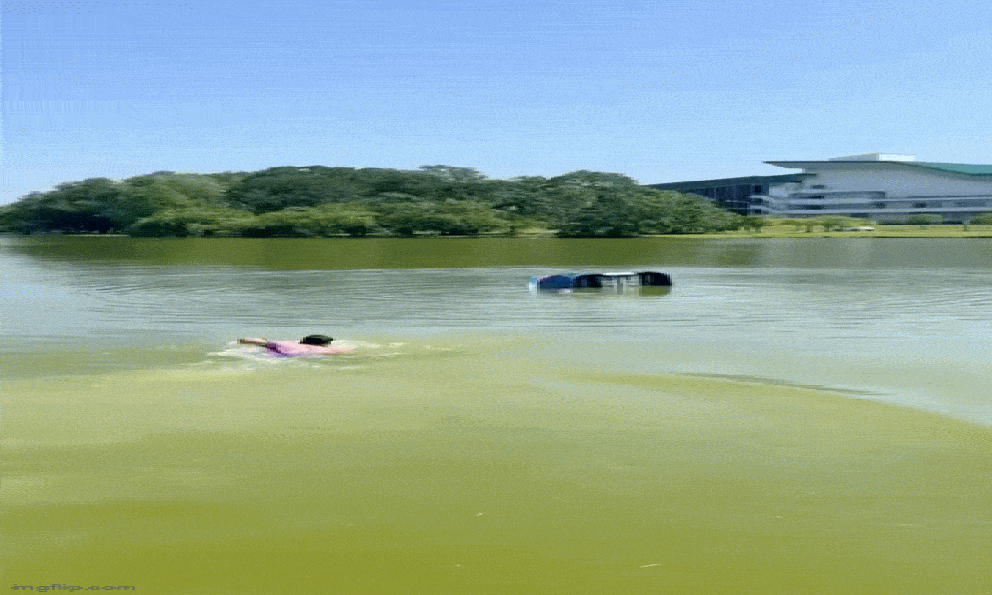 Mẹ đang lái ô tô chở theo con gái thì xe bất ngờ lao xuống nước, nhân chứng bơi đến thấy cảnh ám ảnh