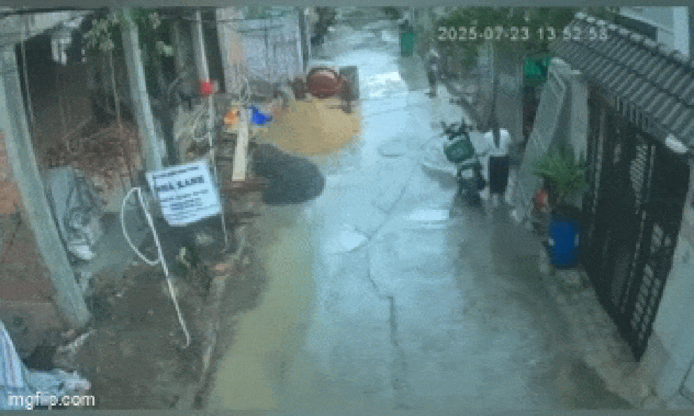 Nữ cán bộ hất đổ xe máy đỗ bên đường ở TP.HCM: Đã gặp trực tiếp và xin lỗi nam shipper