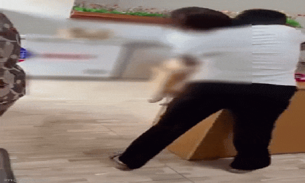 Bé 4 tuổi bị bạo hành: Mẹ đau xót khi nhận tin nhắn kèm hình ảnh và clip của con sau 1 tuần chuyển trường