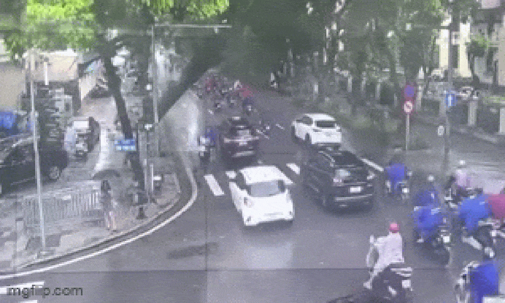 Camera ghi lại khoảnh khắc cây xanh bật gốc, đè trúng ô tô tại ngã tư Hà Nội vào sáng nay
