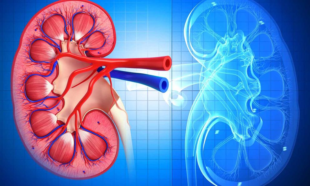 Những người có thận yếu thường có 10 dấu hiệu này trên cơ thể: Hãy kiểm tra ngay!