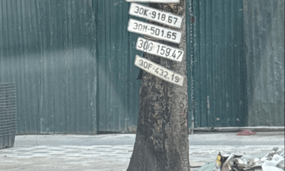 Bức ảnh lạ chụp trên phố Hà Nội gây xôn xao: Người đăng tải tiết lộ câu chuyện phía sau