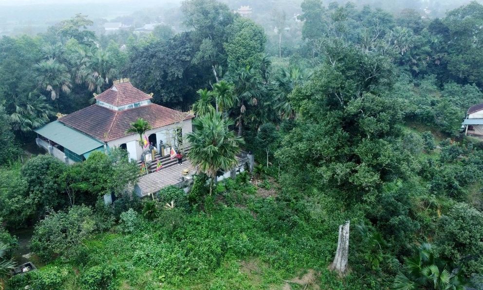 Hai 'báu vật sống' hơn 200 năm tuổi ở Hà Tĩnh: Trị giá trăm tỷ, nay chính thức trở thành Di sản Việt Nam