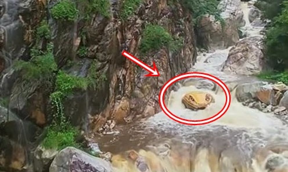 'Trăn khổng lồ' giữa suối khiến du khách hoảng sợ, ban quản lý nói: Nó đã ở đây hàng trăm triệu năm