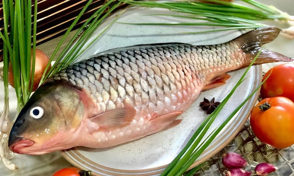 Ngộ độc nặng, tử vong chỉ vì ăn cá chép được chế biến kiểu này: Chuyên gia chỉ cách 