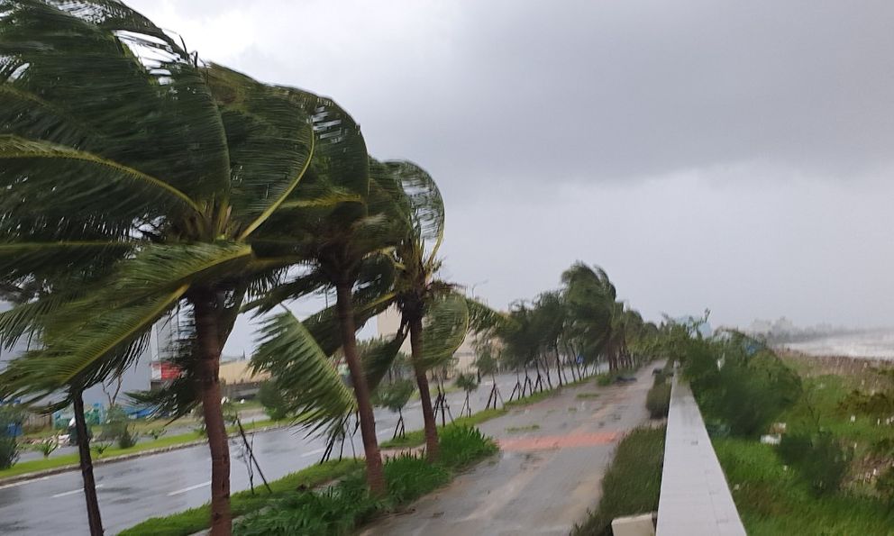 Bão số 10 Bualoi sắp đổ bộ: Ít nhất 4 địa phương cho học sinh nghỉ học ngày mai