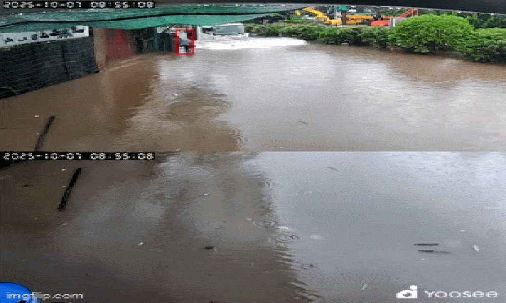 Khoảnh khắc khiến bao người 