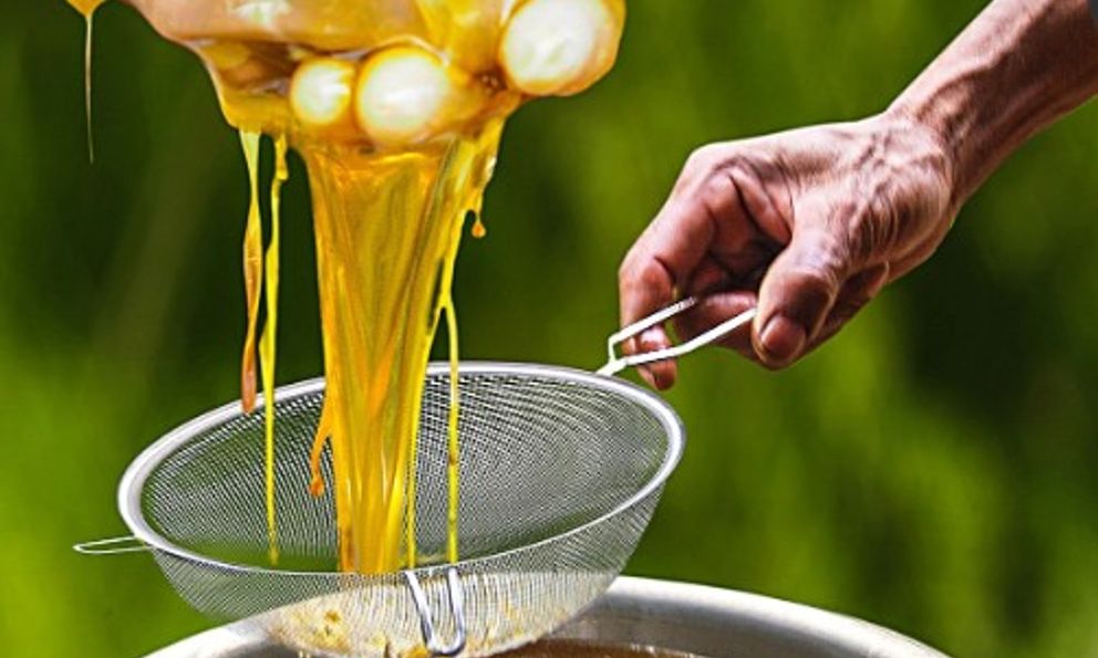 Đặc sản đắt nhất thế giới 40 triệu/kg, Việt Nam có loại thiên nhiên nguyên bản, thơm ngọt chẳng kém cạnh