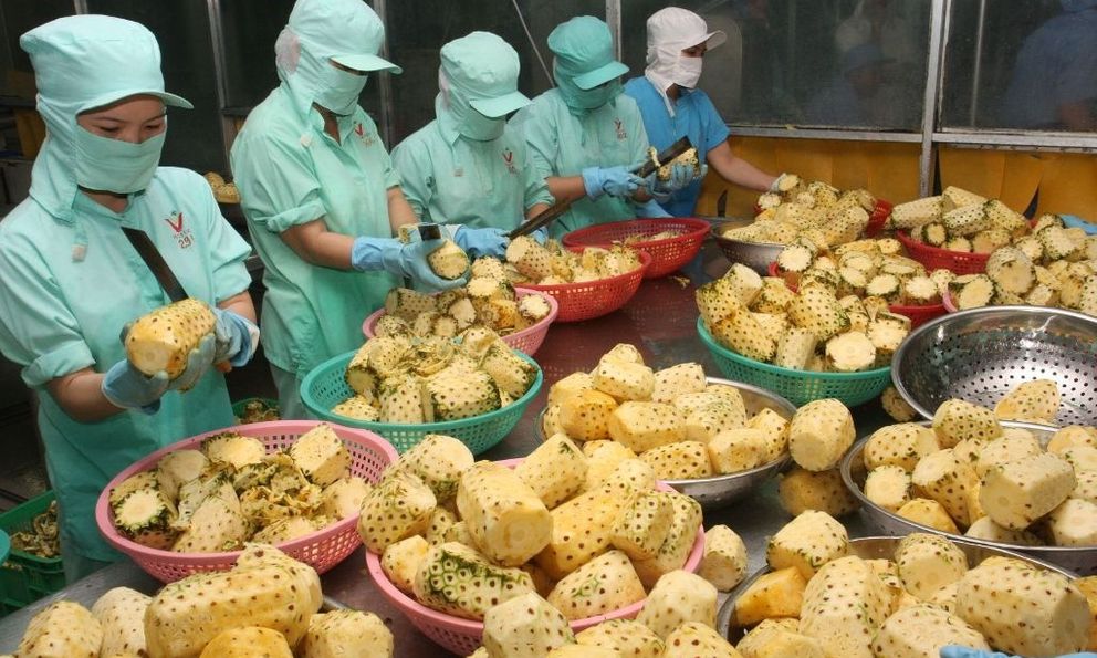 Loại quả quen thuộc của Việt Nam “gây sốt”: Có mặt ở 100 nước, doanh thu xuất khẩu 9 tháng tăng 114%