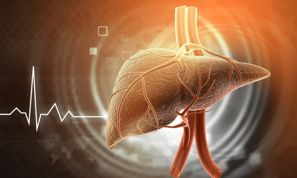 Người có gan khoẻ thường thích làm 4 việc này vào buổi sáng: Ai làm đủ thì xin chúc mừng!