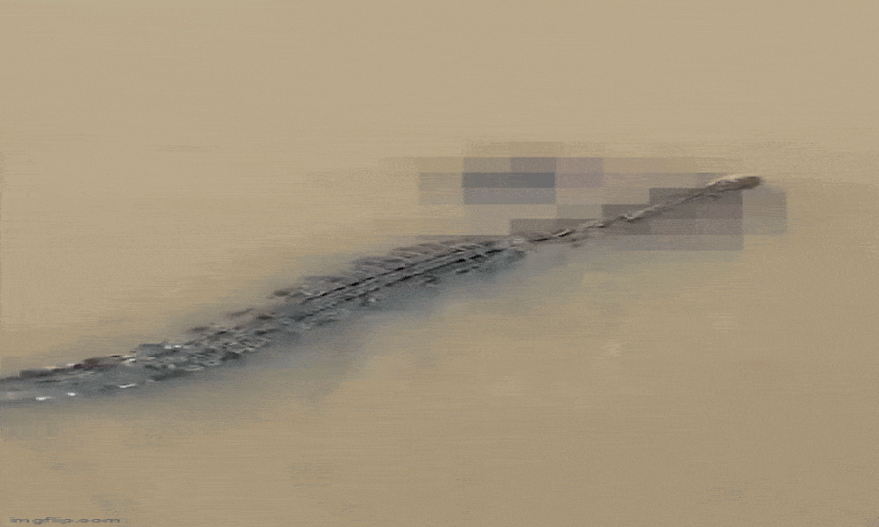 Người phụ nữ ra sông tắm bất ngờ bị kéo đi, người dân hoảng loạn la hét trong bất lực