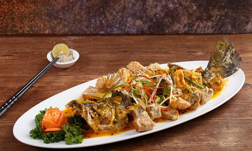 Loại cá được chuyên gia Trung Quốc khen 