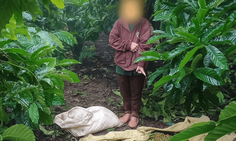 Bắt Phạm Thị Thanh Lương