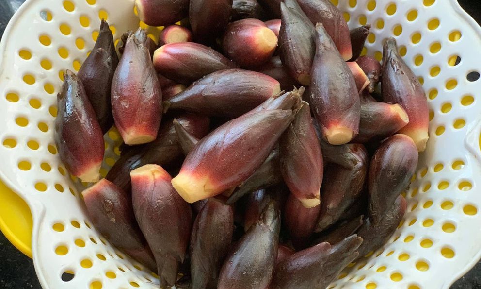 Loại rau người Nhật coi như 