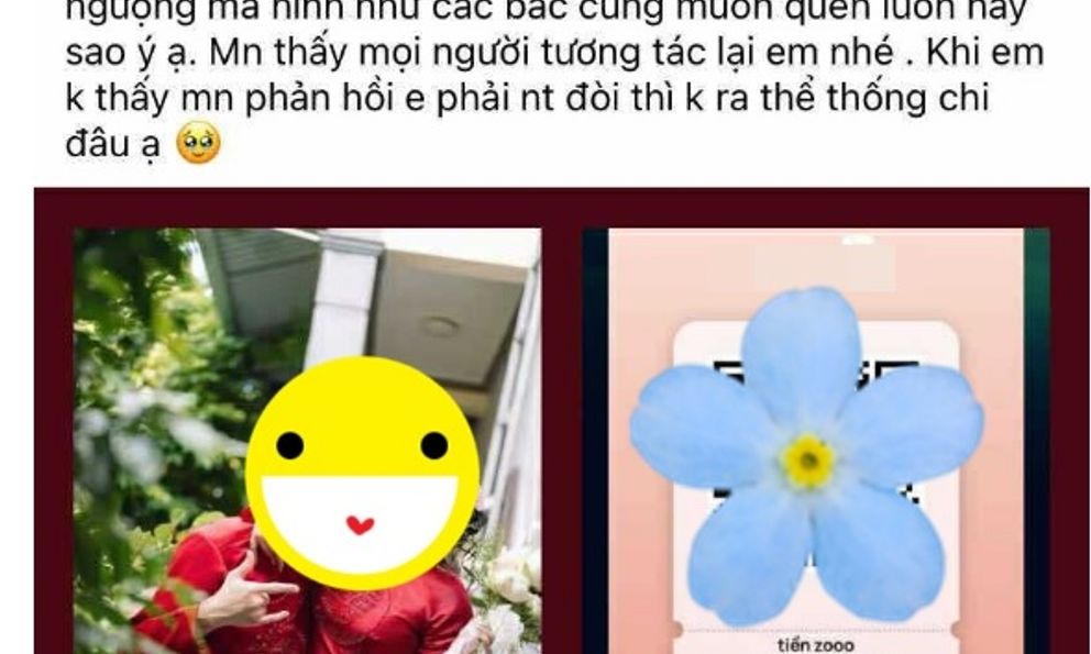 Cô dâu đăng mã QR, 