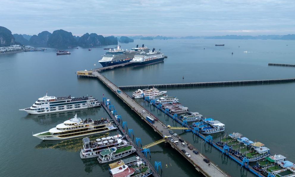 Khung cảnh ở Hạ Long ngay lúc này khiến nhiều người tò mò, nhận xét: 