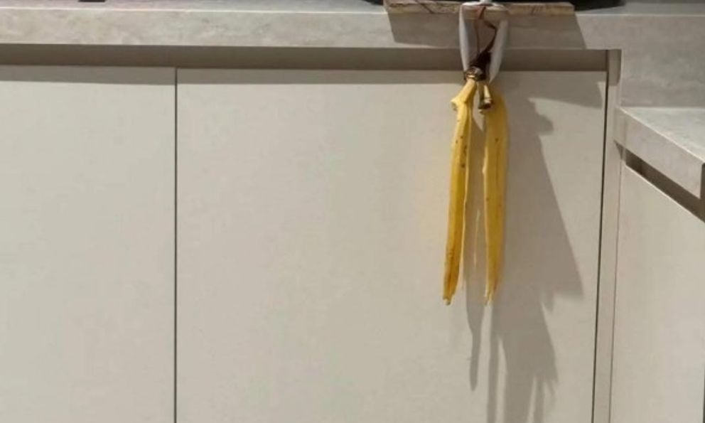 Nửa đêm thấy chồng lục đục trong bếp: Sáng dậy người vợ ''dở khóc dở cười'' trước cảnh này